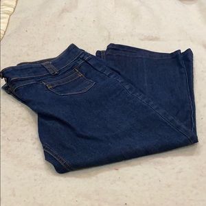 NEW YORK AND COMPANY Low Rose Flare Leg Jeans